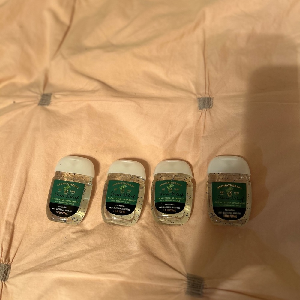 NWT Bath and Body Works hand sanitizer